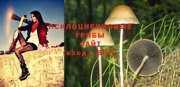 сатива Краснотурьинск
