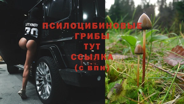 сатива Краснотурьинск