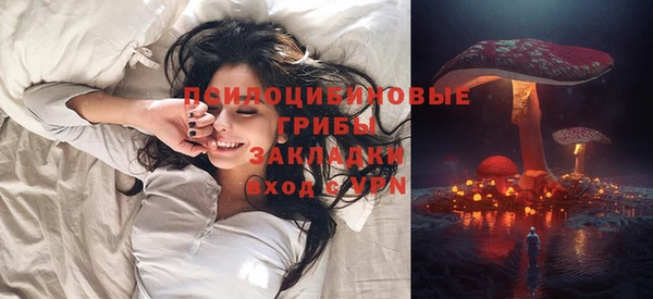 сатива Краснотурьинск