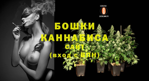 сатива Краснотурьинск